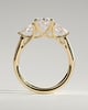 Amara - Trellis Set Oval Trilogy - 18k Yellow Gold