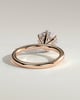 Anna  6 Claw Round Solitaire with Hidden Halo - 18k Rose Gold