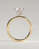 Anna  6 Claw Round Solitaire with Hidden Halo - 18k Yellow Gold / 18k White Gold