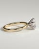 Anna  6 Claw Round Solitaire with Hidden Halo - 18k Yellow Gold / 18k White Gold