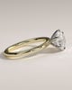 Anna  6 Claw Round Solitaire with Hidden Halo - 18k Yellow Gold / 18k White Gold