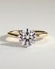 Anna  6 Claw Round Solitaire with Hidden Halo - 18k Yellow Gold / 18k White Gold
