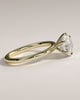 Anna  6 Claw Round Solitaire with Hidden Halo - 18k Yellow Gold