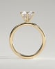 Anna  6 Claw Round Solitaire with Hidden Halo - 18k Yellow Gold