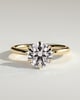 Anna  6 Claw Round Solitaire with Hidden Halo - 18k Yellow Gold