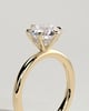 Anna  6 Claw Round Solitaire with Hidden Halo - 18k Yellow Gold