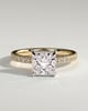 Annie  Princess Solitaire with Hidden Halo and Pave - 18k Yellow Gold / 18k White Gold