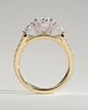 Arabella - Oval Trilogy with Side Stones - 18k Yellow Gold / 18k White Gold