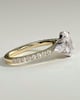Arabella - Oval Trilogy with Side Stones - 18k Yellow Gold / 18k White Gold