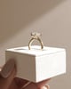 Ari - 4 Claw Radiant Solitaire with Hidden Halo Lifestyle Image