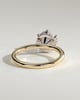Aria - 6 Claw Round Solitaire with Hidden Halo - 18k Yellow Gold / 18k White Gold