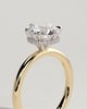 Aria - 6 Claw Round Solitaire with Hidden Halo - 18k Yellow Gold / 18k White Gold