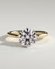 Aria - 6 Claw Round Solitaire with Hidden Halo - 18k Yellow Gold / 18k White Gold