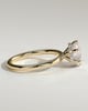 Aria - 6 Claw Round Solitaire with Hidden Halo - 18k Yellow Gold