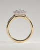 Arielle - Oval Halo with Cathedral Setting - 18k Yellow Gold / 18k White Gold