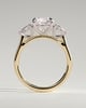Arya - Round Trilogy with Pear Side Stones - 18k Yellow Gold / 18k White Gold