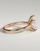 Aspen  5 Claw Pear Solitaire - 18k Rose Gold