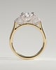 Astrid - Pear Claw Trilogy with Pear Side Stones and Cathedral Setting Engagement Ring - 18k Yellow Gold / 18k White Gold