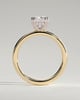 Aubrey - Double-Tipped 4 Claw Elongated Cushion Solitaire with Hidden Halo - 18k Yellow Gold / 18k White Gold