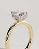 Aubrey - Double-Tipped 4 Claw Elongated Cushion Solitaire with Hidden Halo - 18k Yellow Gold / 18k White Gold