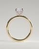 Ava - Elongated Cushion Claw Solitaire with Hidden Halo Engagement Ring - 18k Yellow Gold / 18k White Gold High Setting