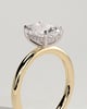 Ava - Elongated Cushion 4 Claw Solitaire with Hidden Halo Engagement Ring - 18k Yellow Gold / 18k White Gold High Setting