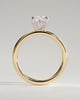 Ava - Elongated Cushion 4 Claw Solitaire with Hidden Halo Engagement Ring - 18k Yellow Gold / 18k White Gold High Setting