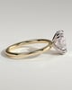 Avery - Oval 4 Double Claw Solitaire with Hidden Halo Engagement Ring - 18k Yellow Gold / 18k White Gold High Setting