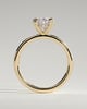 Avery - Oval 4 Double Claw Solitaire with Hidden Halo Engagement Ring - 18k Yellow Gold High Setting