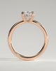 Avery  Double Tipped 4 Claw Oval Solitaire - 18k Rose Gold