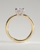 Avery  Double Tipped 4 Claw Oval Solitaire - 18k Yellow Gold / 18k White Gold