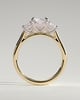 Ayla - Classic Radiant Claw Trilogy Engagement Ring - 18k Yellow Gold / 18k White Gold