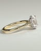 Bethany - Oval 4 Claw Solitaire with Hidden Halo, Tapered Band and Cathedral Setting Engagement Ring - 18k Yellow Gold / 18k White Gold