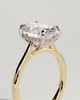 Bethany - Oval Claw Solitaire with Hidden Halo, Tapered Band and Cathedral High Setting Engagement Ring - 18k Yellow Gold / 18k White Gold