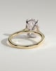 Bethany - Oval Claw Solitaire with Hidden Halo, Tapered Band and Cathedral High Setting Engagement Ring - 18k Yellow Gold / 18k White Gold
