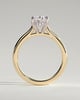 Bethany - Oval 4 Claw Solitaire with Hidden Halo, Tapered Band and Cathedral Setting Engagement Ring - 18k Yellow Gold / 18k White Gold