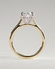 Bethany - Oval Claw Solitaire with Hidden Halo, Tapered Band and Cathedral High Setting Engagement Ring - 18k Yellow Gold / 18k White Gold