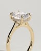 Bethany - Oval Claw Solitaire with Hidden Halo, Tapered Band and Cathedral High Setting Engagement Ring - 18k Yellow Gold