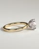 Bindi - Round Solitaire with Hidden Halo - 18k Yellow Gold / 18k White Gold