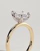 Blossom - Pear 5 Claw Solitaire with Petal Gallery and Accented Tiara Detail Engagement Ring - 18k Yellow Gold / 18k White Gold