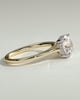 Bonnie  4 Claw Round Solitaire with Hidden Halo - 18k Yellow Gold / 18k White Gold