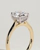 Bonnie  4 Claw Round Solitaire with Hidden Halo - 18k Yellow Gold / 18k White Gold