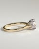 Bonnie  4 Claw Round Solitaire with Hidden Halo - 18k Yellow Gold / 18k White Gold