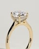 Bonnie  4 Claw Round Solitaire with Hidden Halo - 18k Yellow Gold