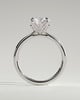 Brianna - Round Claw Solitaire with Petal Gallery, Accent Leaf Detail and Cathedral Setting Engagement Ring - 18k White Gold