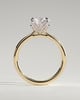 Brianna - Round Claw Solitaire with Petal Gallery, Accent Leaf Detail and Cathedral Setting Engagement Ring - 18k Yellow Gold / 18k White Gold