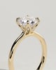 Brianna - Round Claw Solitaire with Petal Gallery, Accent Leaf Detail and Cathedral Setting Engagement Ring - 18k Yellow Gold