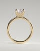 Brianna - Round Claw Solitaire with Petal Gallery, Accent Leaf Detail and Cathedral Setting Engagement Ring - 18k Yellow Gold