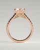 Briar  6 Claw Pav Cathedral Round Solitaire - 18k Rose Gold