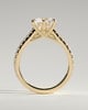 Briar  6 Claw Pav Cathedral Round Solitaire - 18k Yellow Gold